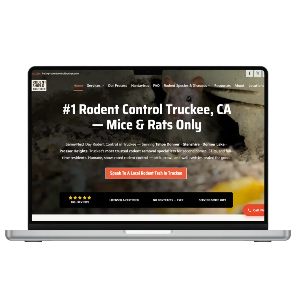 Pest control business website designed by Khizar Hayat